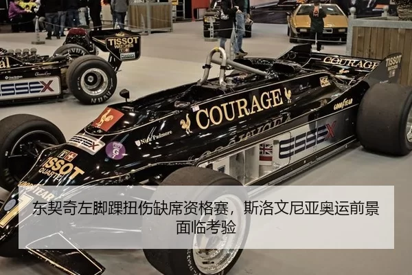 东契奇左脚踝扭伤缺席资格赛，斯洛文尼亚奥运前景面临考验